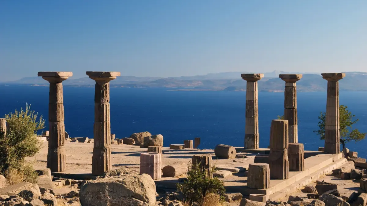 Assos.webp