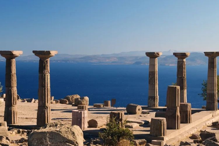 assos-2.jpeg